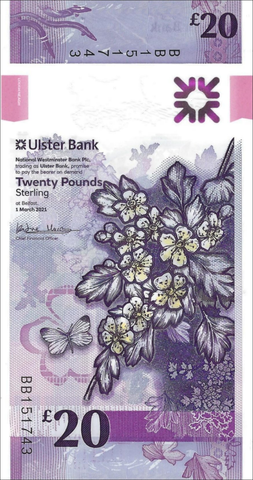 Irish Banknotes Latest News Pam West British Bank Notes